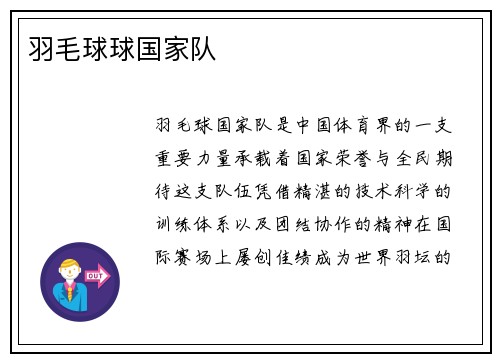 羽毛球球国家队